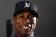 LAKELAND, FL - FEBRUARY 28: Austin Jackson #14 of the Detroit Tigers poses for a portrait on February 28, 2012 at Joker Marchant Staduim in Lakeland, Florida. (Photo by Elsa/Getty Images)