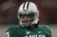 ARLINGTON, TX - NOVEMBER 26: Robert Griffin III #10 of the Baylor Bears at Cowboys Stadium on November 26, 2011 in Arlington, Texas. (Photo by Ronald Martinez/Getty Images)