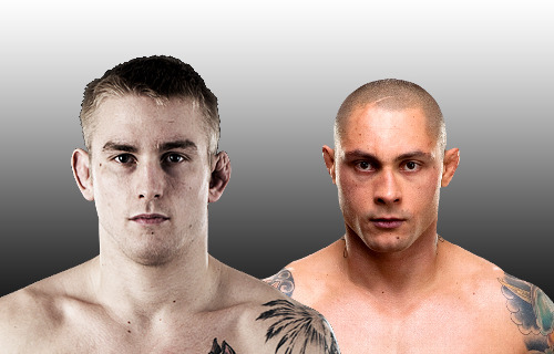 UFC on Fuel TV 2: Weigh-in Results for Gustafsson vs. Silva Fight Card