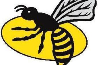 London-wasps-logo_crop_north