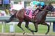 Bodemeister has to win to assure himself a spot in the Kentucky Derby. (Photo via DRF.com)