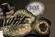 HOLLYWOOD, CA - SEPTEMBER 20: A detailed view of the UFC Championship belt prior to the UFC on Fox: Velasquez v Dos Santos - Press Conference at W Hollywood on September 20, 2011 in Hollywood, California. (Photo by Victor Decolongon/Getty Images)