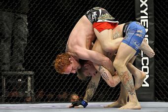Bocek_crop_north
