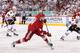 Gilbert Brule scored the Coyotes' lone goal early in the second period.