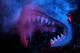 Despite the menacing image of the Shark Tank, San Jose won no home games in the 2012 NHL playoffs