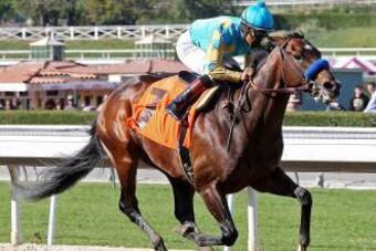 Paynter_crop_north