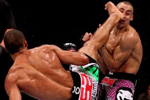 Barboza142hedgeszuffa_crop_650x440_crop_north