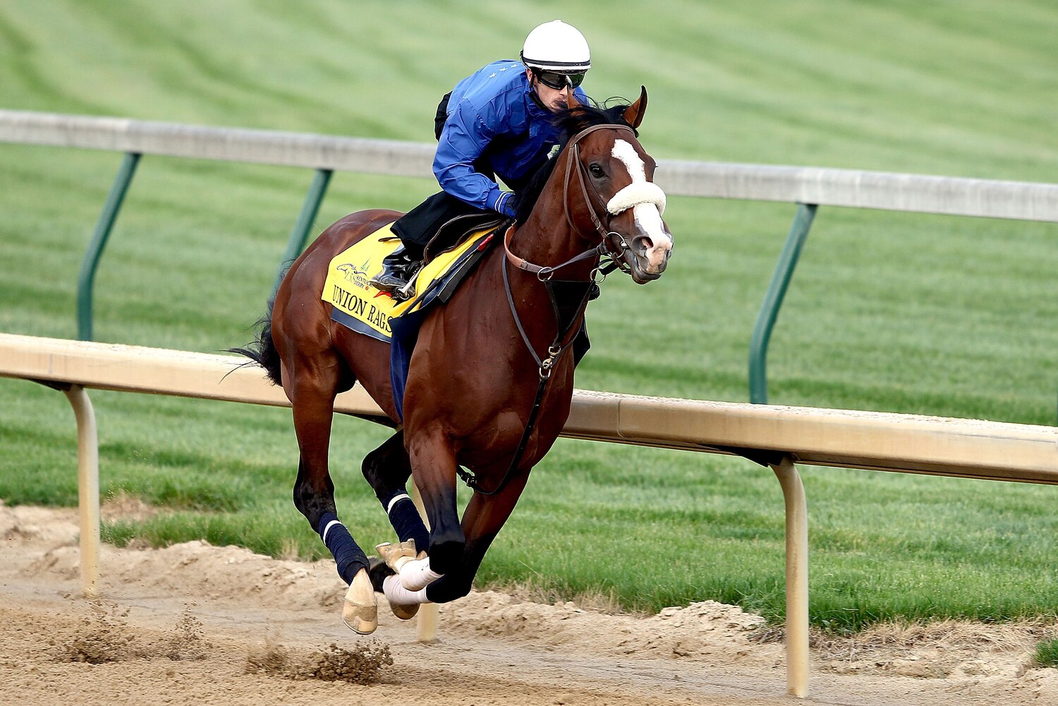 2012 Kentucky Derby Horses Why Union Rags Is Worth Rooting for