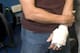 Kevin Brown's Left Hand