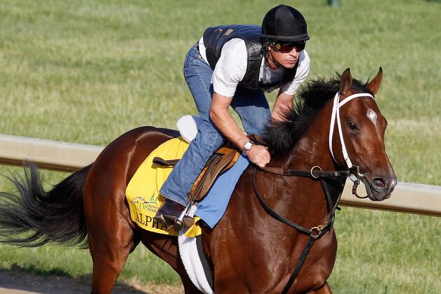 Kentucky Derby Odds 2012: Alpha and Long Shots Worth the Risk