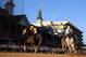 A total of nine horses from last year's Breeders' Cup Juvenile, including the top three pictured above of Hansen, Union Rags, and Creative Cause, are back under the Twin Spires for the 138th Kentucky Derby.