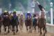 Longshot Mine That Bird, with Calvin Borel aboard, captured the 135th running of the Kentucky Derby at odds of 50-1.