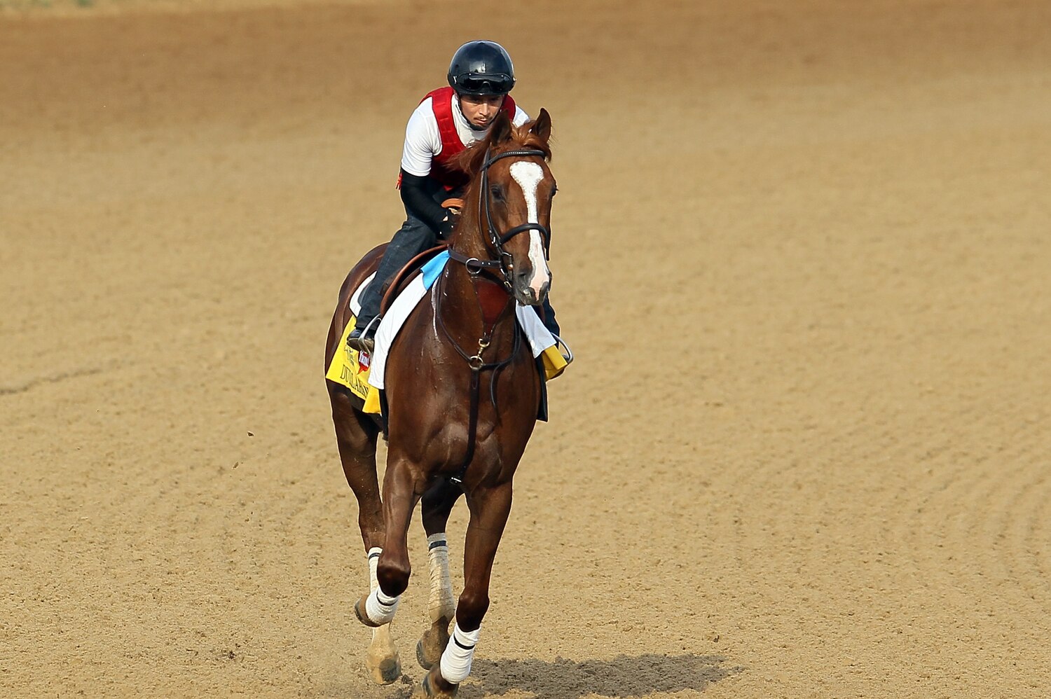 Kentucky Derby 2012 Post Positions Which Horses Now Have an Advantage
