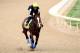 LOUISVILLE, KY - APRIL 28: Bodemeister is riden on the track during the morning excercise session in preparation for the 138th Kentucky Derby at Churchill Downs on April 28, 2012 in Louisville, Kentucky. (Photo by Matthew Stockman/Getty Images)