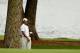 CHARLOTTE, NC - MAY 03: Tiger Woods of the United States watches his approach shot on the 15th hole during the first round of the Wells Fargo Championship at the Quail Hollow Club on May 3, 2012 in Charlotte, North Carolina. (Photo by Streeter Lecka/Getty Images)