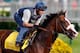 LOUISVILLE, KY - MAY 03: Union Rags trains on the track in preparation for the 138th Kentucky Derby at Churchill Downs on May 3, 2012 in Louisville, Kentucky. (Photo by Rob Carr/Getty Images)