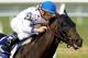 HALLANDALE, FL - MARCH 31: Take Charge Indy, riden by Calvin Borel, races down the final streatch during the Florida Derby at Gulfstream Park on March 31, 2012 in Hallandale, Florida. (Photo by Matthew Stockman/Getty Images)
