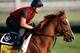 LOUISVILLE, KY - MAY 04: Dullahan trains on the track in preparation for the 138th Kentucky Derby at Churchill Downs at Churchill Downs on May 4, 2012 in Louisville, Kentucky. (Photo by Rob Carr/Getty Images)