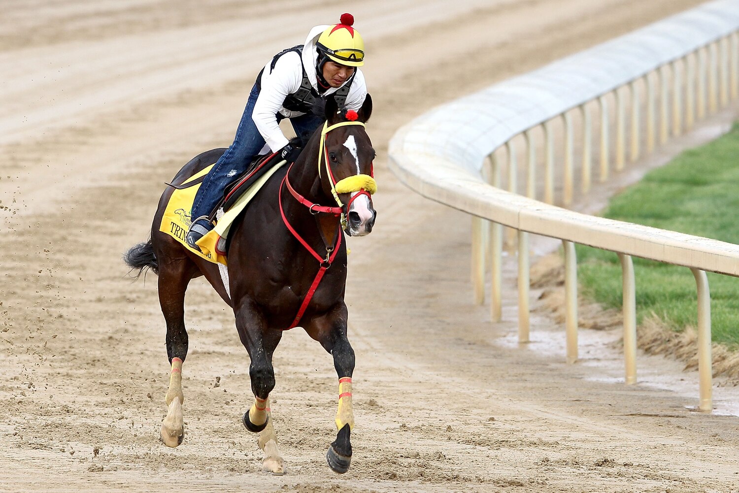 Kentucky Derby 2012 Unknown Horses Who'll Be Favorites in Preakness
