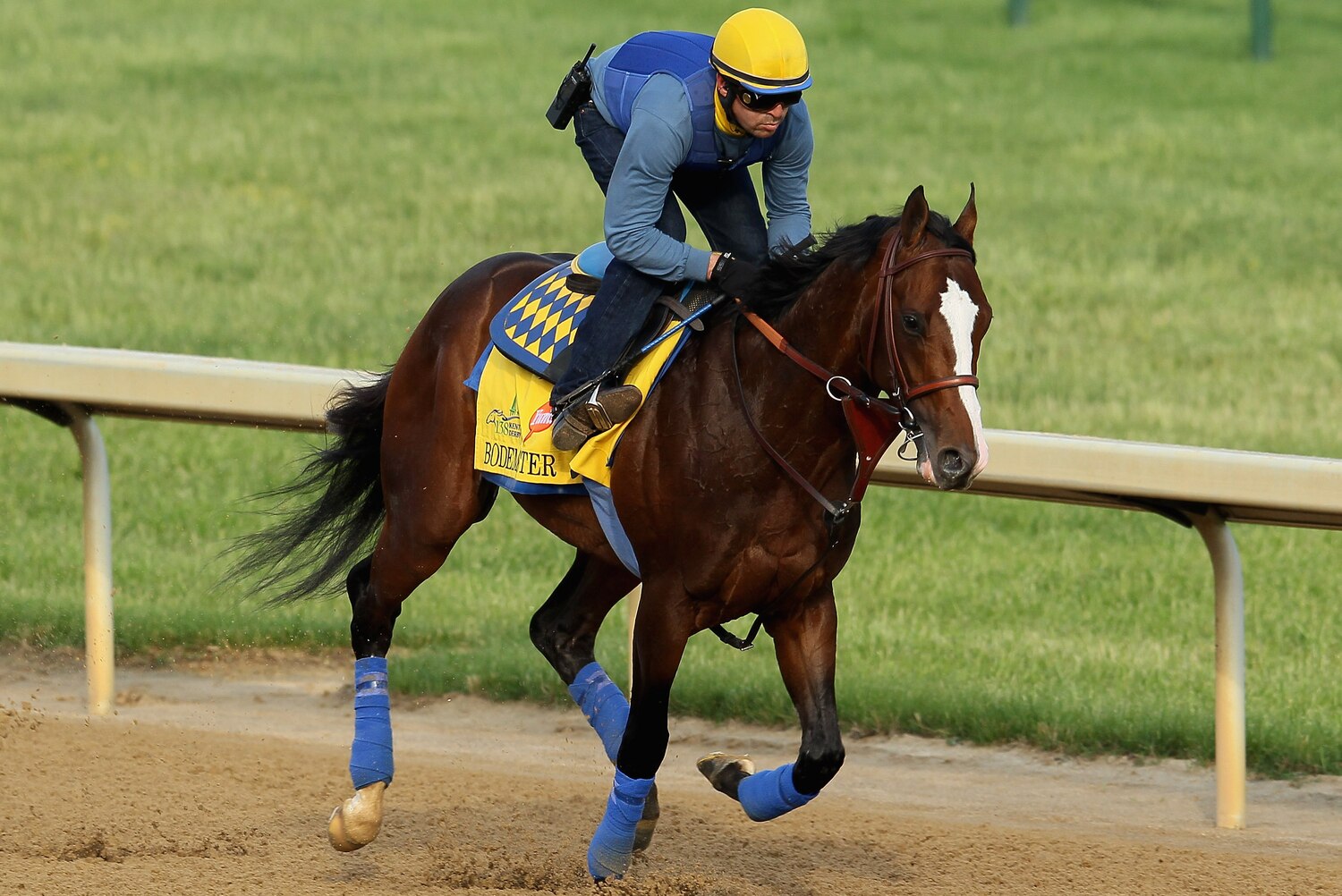 Bodemeister Why Bob Baffert's Horse Will Win 2012 Kentucky Derby