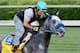 LOUISVILLE, KY - APRIL 30: Creative Cause is riden on the track during the morning excercise session in preparation for the 138th Kentucky Derby at Churchill Downs on April 30, 2012 in Louisville, Kentucky. (Photo by Matthew Stockman/Getty Images)