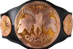 Tagteamchampions_original_crop_north
