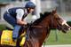 LOUISVILLE, KY - MAY 03: Union Rags trains on the track in preparation for the 138th Kentucky Derby at Churchill Downs on May 3, 2012 in Louisville, Kentucky. (Photo by Rob Carr/Getty Images)