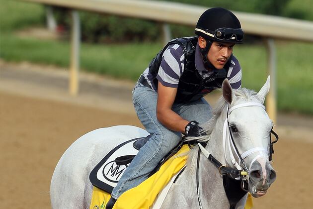 2012 Kentucky Derby Contenders: Creative Cause and Horses Set to Shock the Field