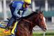 Bodemeister