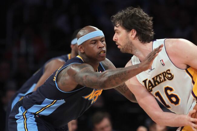 Al Harrington is one of the many talented players that Denver brings off it's bench.