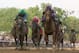 LOUISVILLE, KY - MAY 05: I'll Have Another ridden by Mario Gutierrez leads the pack down the final stretch during the 138th running of the Kentucky Derby ahead of at Churchill Downs on May 5, 2012 in Louisville, Kentucky. (Photo by Matthew Stockman/Getty Images)