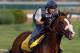 LOUISVILLE, KY - MAY 03: Union Rags trains on the track in preparation for the 138th Kentucky Derby at Churchill Downs on May 3, 2012 in Louisville, Kentucky. (Photo by Rob Carr/Getty Images)