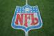 TAMPA, FL - DECEMBER 10: The NFL Shield logo is shown on the field before the Tampa Bay Buccaneers game against the Atlanta Falcons on December 10, 2006 at Raymond James Stadium in Tampa, Florida. The Falcons defeated the Bucs 17-6. (Photo by Doug Pensinger/Getty Images)