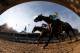 LOUISVILLE, KY - MAY 05: Mario Gutierrez (L) comes down the final stretch atop I'll Have Another ahead of Bodemeister ridden by Mike Smith during the 138th running of the Kentucky Derby ahead of at Churchill Downs on May 5, 2012 in Louisville, Kentucky. (Photo by Rob Carr/Getty Images)