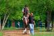 BALTIMORE, MD - MAY 16: Exercise rider Jonny Garcia walks I'll Have Another to the track in preparation for the 137th Preakness Stakes at Pimlico Race Course on May 16, 2012 in Baltimore, Maryland. (Photo by Rob Carr/Getty Images)