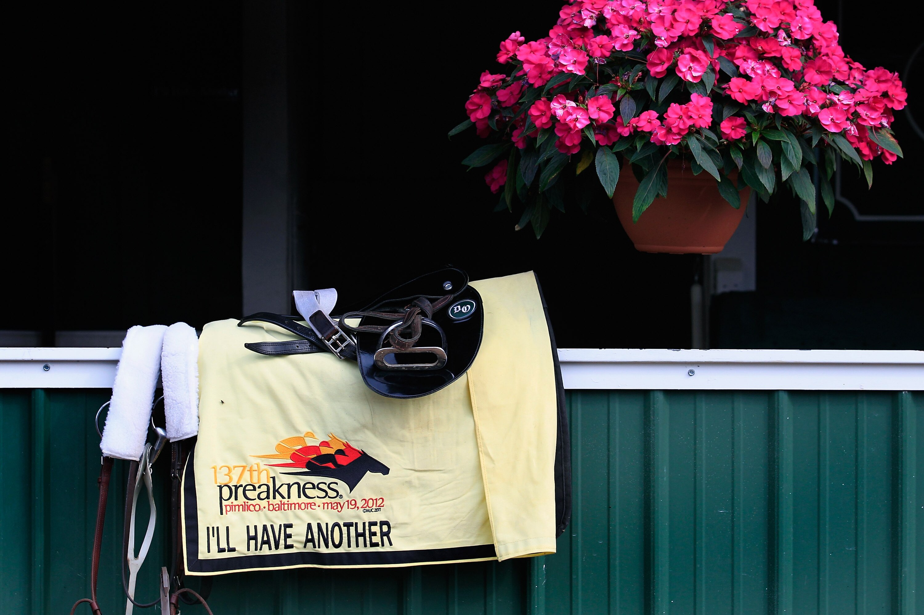 Preakness Odds
