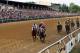 BALTIMORE, MD - MAY 21: The field heads into the first turn during the 136th running of the Preakness Stakes at Pimlico Race Course on May 21, 2011 in Baltimore, Maryland. (Photo by Rob Carr/Getty Images)
