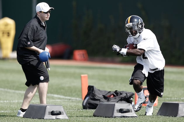 Todd Haley Did Not Lobby Pittsburgh Steelers to Draft Chris Rainey