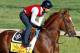 LOUISVILLE, KY - MAY 02: Dullahan trains on the track in preparation for the 138th Kentucky Derby at Churchill Downs on May 2, 2012 in Louisville, Kentucky. (Photo by Rob Carr/Getty Images)