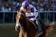 BALTIMORE, MD - MAY 19: I'll Have Another, ridden by Mario Gutierrez, wins the 137th Preakness Stakes at Pimlico Race Course on May 19, 2012 in Baltimore, Maryland. (Photo by Matthew Stockman/Getty Images)