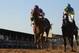 BALTIMORE, MD - MAY 19: I'll Have Another ridden by Mario Gutierrez comes ahead at the finish to beat Bodemeister ridden by Mike Smith to win the 137th Preakness Stakes at Pimlico Race Course on May 19, 2012 in Baltimore, Maryland. (Photo by Rob Carr/Getty Images)