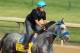 LOUISVILLE, KY - MAY 03: Creative Cause trains in preparation for the 138th Kentucky Derby at Churchill Downs on May 3, 2012 in Louisville, Kentucky. (Photo by Elsa/Getty Images)