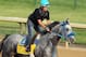 LOUISVILLE, KY - MAY 03: Creative Cause trains in preparation for the 138th Kentucky Derby at Churchill Downs on May 3, 2012 in Louisville, Kentucky. (Photo by Elsa/Getty Images)