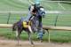 LOUISVILLE, KY - APRIL 30: Creative Cause is riden on the track during the morning excercise session in preparation for the 138th Kentucky Derby at Churchill Downs on April 30, 2012 in Louisville, Kentucky. (Photo by Matthew Stockman/Getty Images)
