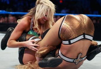 Wwe-divas_crop_north