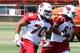 Bobby Massie (70) will have every opportunity to win the starting RT job.