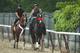 ELMONT, NY - MAY 25: Kentucky Derby, and Preakness winner I'll Have Another ridden by exercise rider Humberto Gomez walks from the racetrack at Belmont Park on May 21, 2012 in Elmont, New York. (Photo by Al Bello/Getty Images)