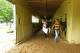 ELMONT, NY - MAY 25: Kentucky Derby, and Preakness winner I'll Have Another is walked in his barn at Belmont Park on May 21, 2012 in Elmont, New York. (Photo by Al Bello/Getty Images)