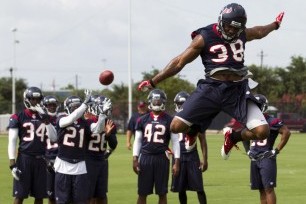 Texans2_crop_north