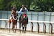 ELMONT, NY - JUNE 02: Triple Crown hopefull I'll Have Another is ridden by exercise riderJonny Garcia and accompanied by Stable Pony Lava Man heads to his barn after a morning workout at Belmont Park on June 2, 2012 in Elmont, New York. (Photo by Al Bello/Getty Images)